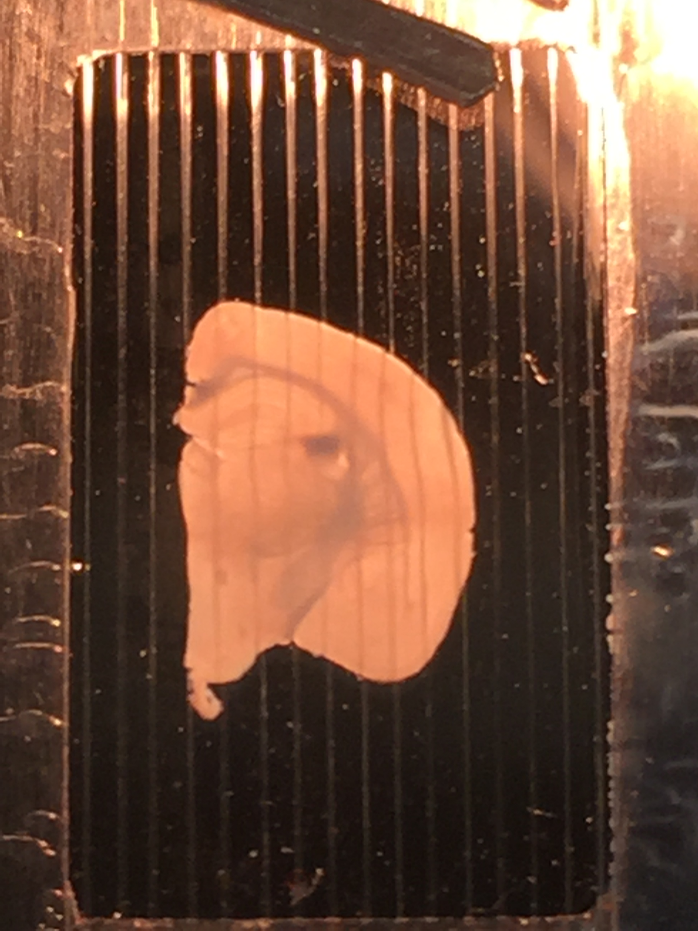 Research Lab Works Research Lab Works